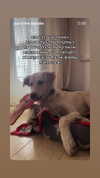 emily_new2 Altpins Profile Picture
