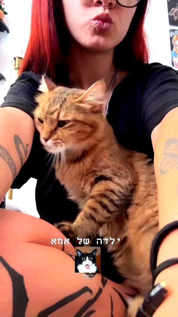 shaharo__._ archive video preview