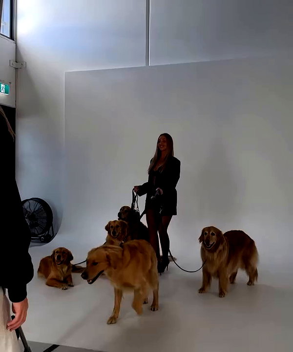 edenharper archive video preview