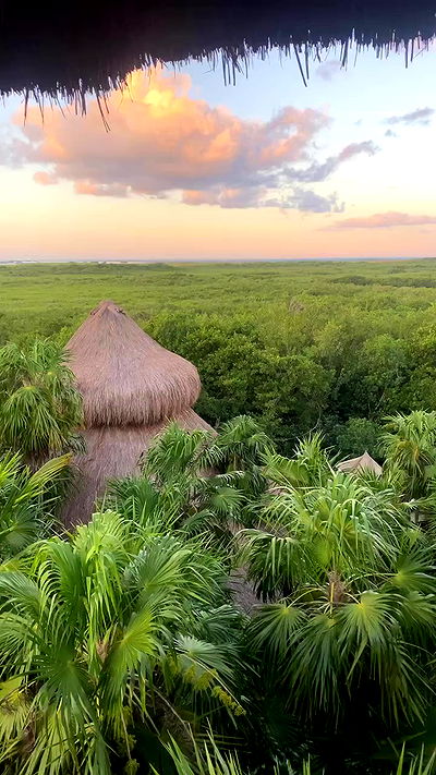 taylor.creeden taylor.creeden archive video