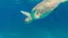 elizabrowne_ Altpins Profile Picture