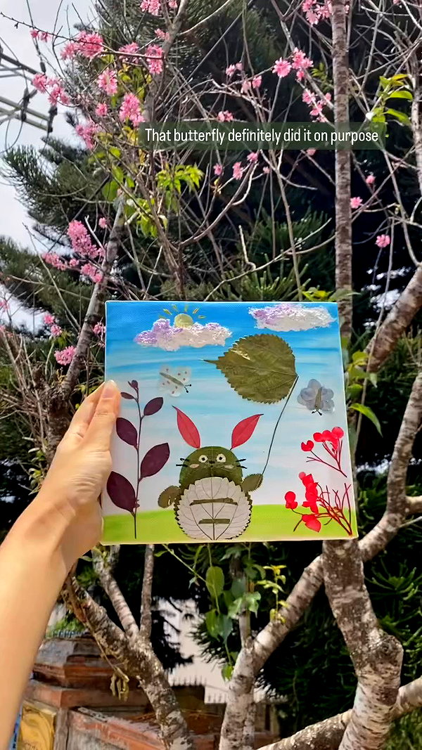 peaceplusyou archive video preview