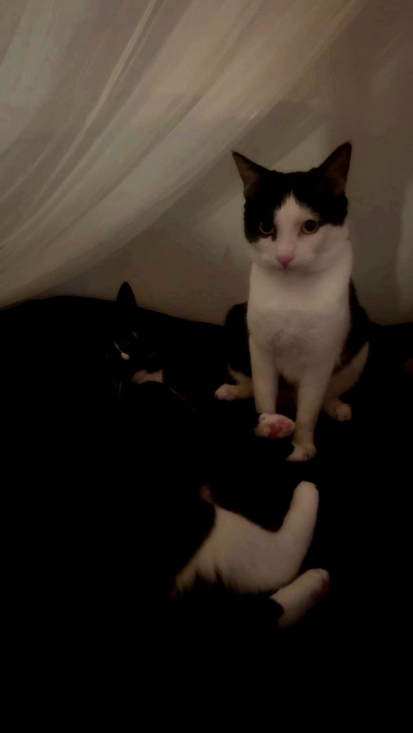 6nattynat9 archive video preview