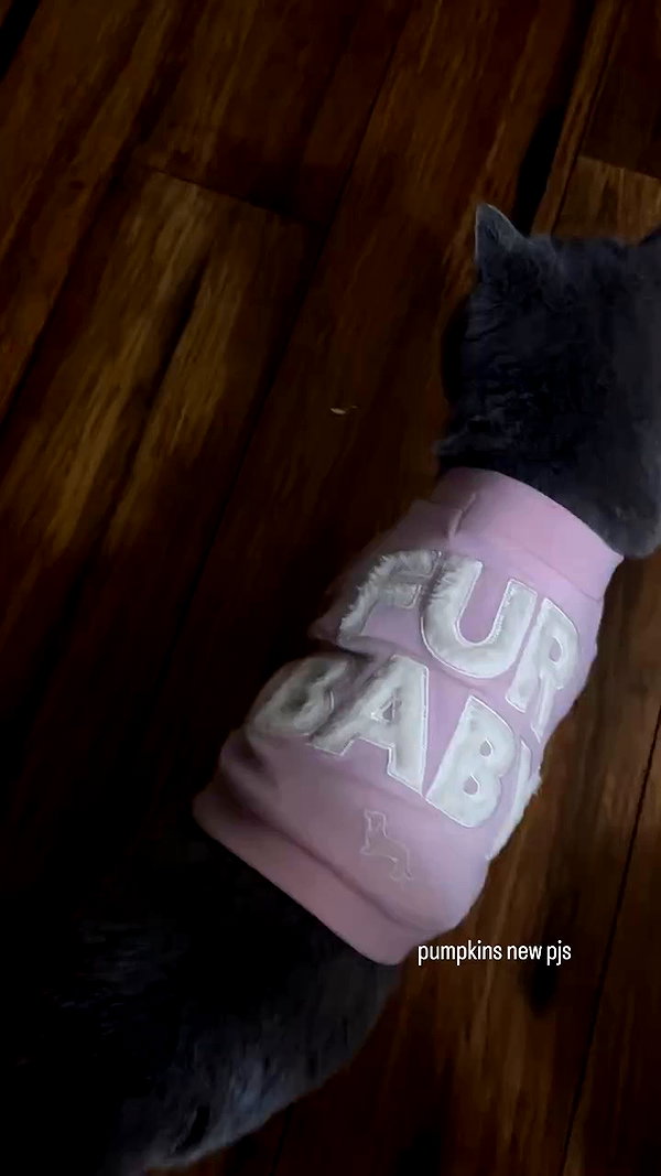 sophadophaa_ archive video preview