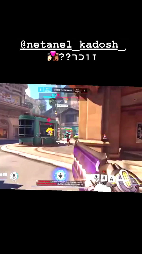 dante_yangpa archive video preview
