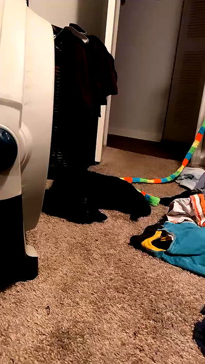 suikomuu suikomuu archive video