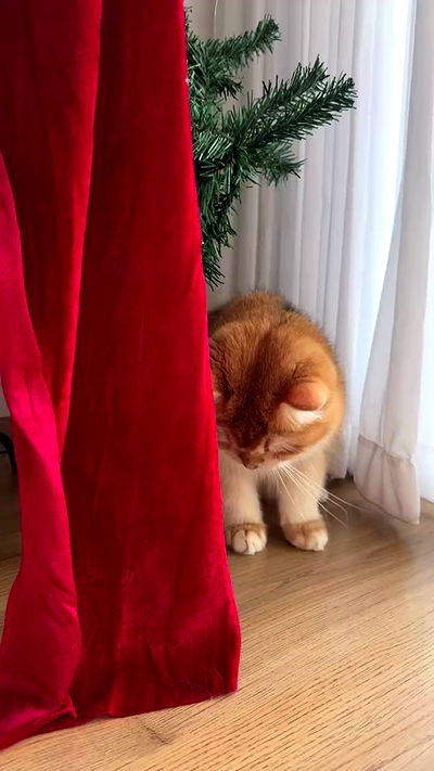 itsilanosh itsilanosh archive video