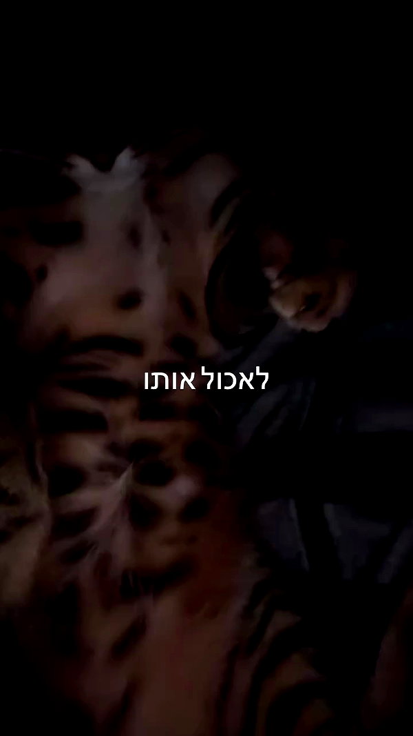 tutiiiiii666 archive video preview