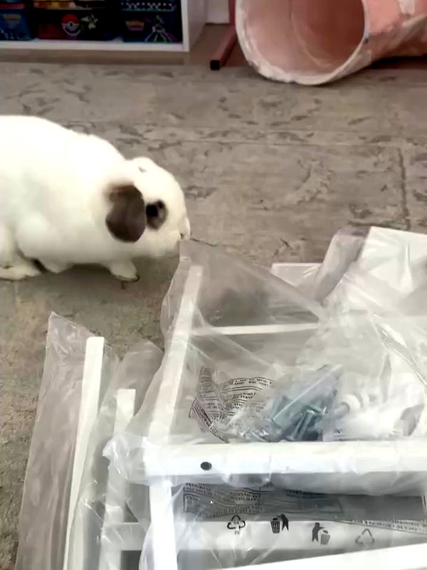 danielle.mercedie archive video preview