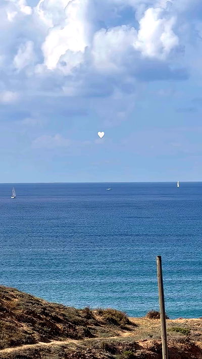 talweisswasser talweisswasser archive video