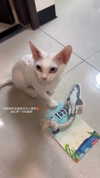 jiw_____n Altpins Profile Picture