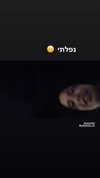 shi__rrrr Altpins Profile Picture