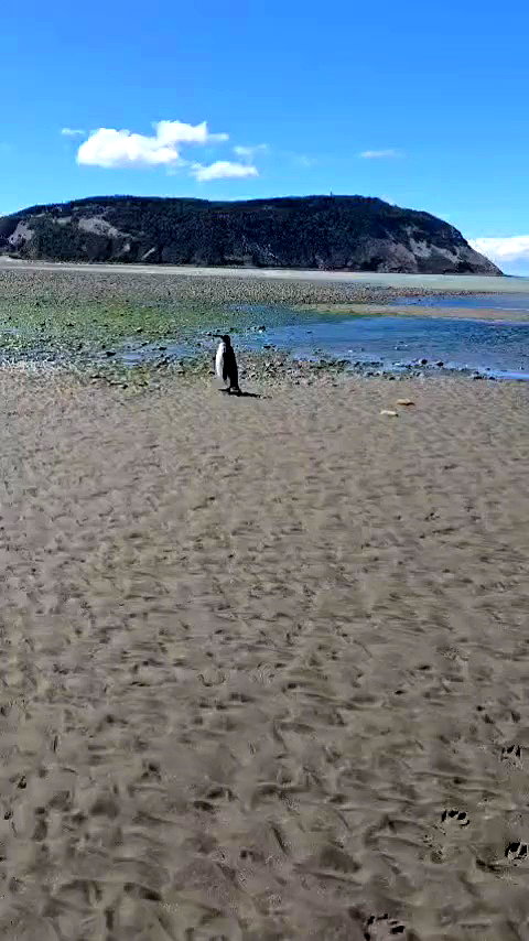 josefinaaa_f archive video preview