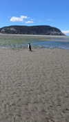 josefinaaa_f Altpins Profile Picture