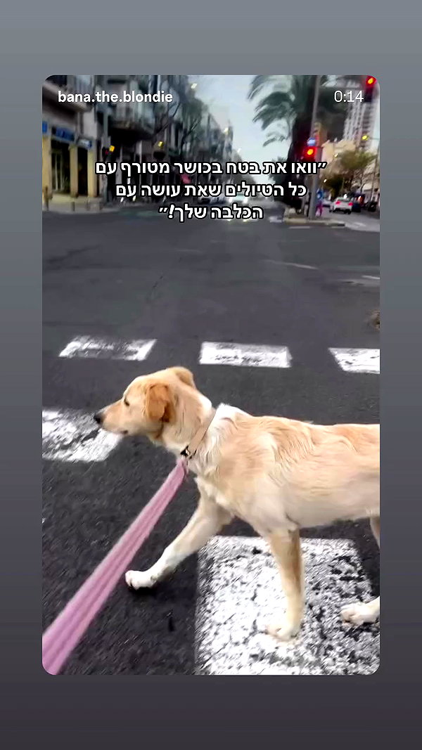 emily_new2 archive video preview