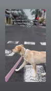 emily_new2 Altpins Profile Picture