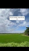 yumisback17 Altpins Profile Picture