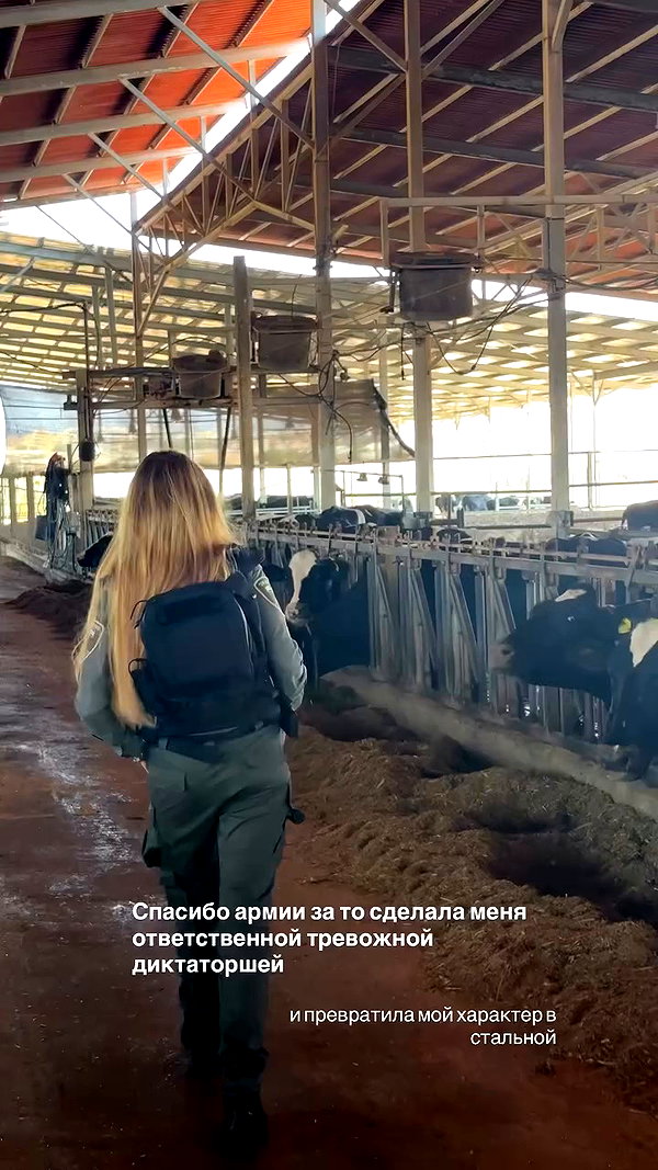 orman.mariee archive video preview