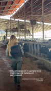 orman.mariee Altpins Profile Picture