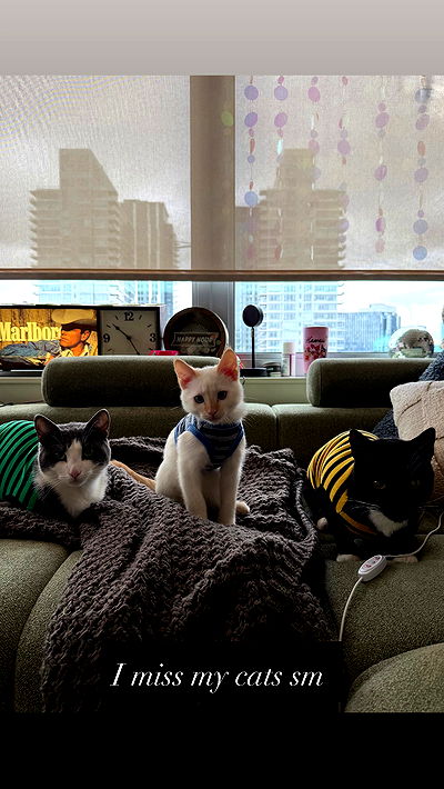 tatum.ricee tatum.ricee archive video