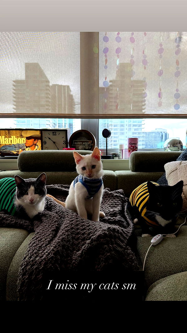 tatum.ricee archive video preview