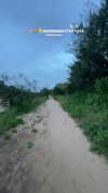 mishel_d_ Altpins Profile Picture