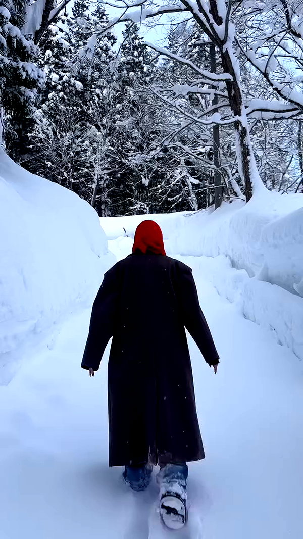 sullivang_ archive video preview