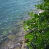lolontlia Altpins Profile Picture