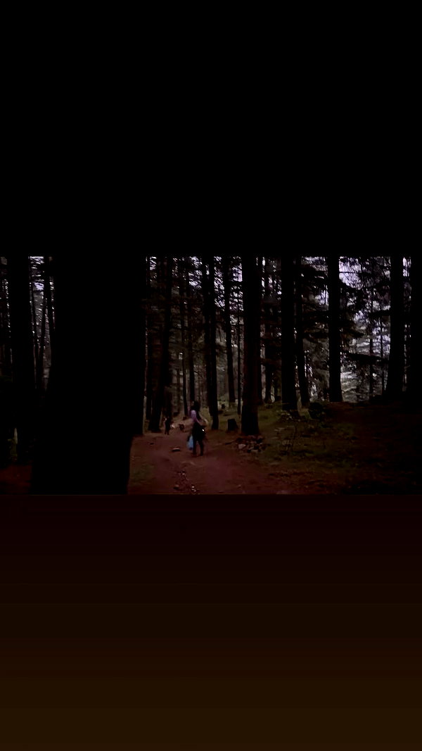 talya.fridland archive video preview