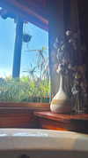 nicol.rochlin Altpins Profile Picture