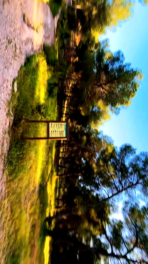 gotylka archive video preview