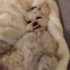 camimendes Altpins Profile Picture