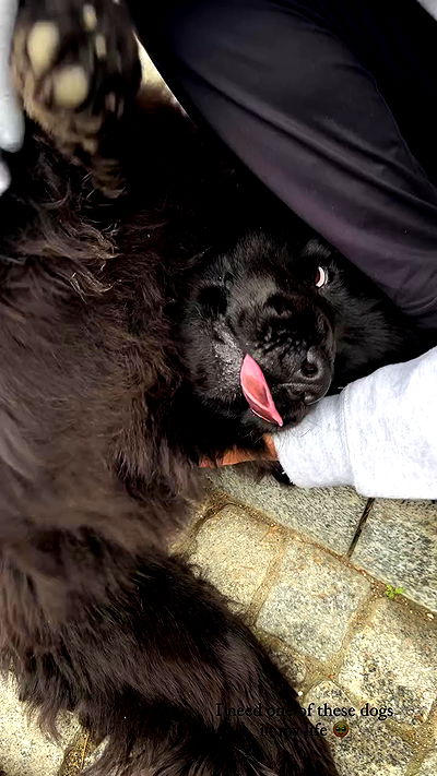 taylor.creeden taylor.creeden archive video