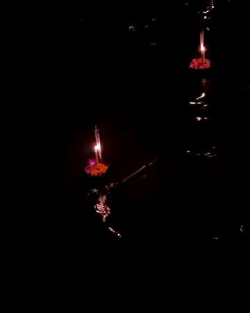 taylor.creeden taylor.creeden archive video