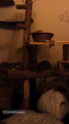 rott3nbambi Altpins Profile Picture
