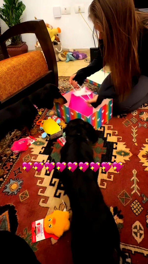 libby_reut archive video preview