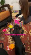 libby_reut Altpins Profile Picture