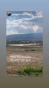 eitan.420 Altpins Profile Picture