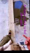chris_fucking_wild Altpins Profile Picture