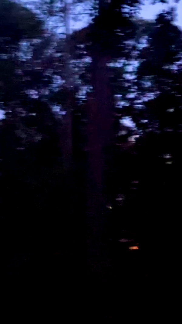 elizabethcampbelljones archive video preview