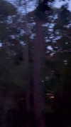 elizabethcampbelljones Altpins Profile Picture