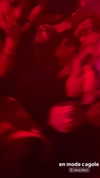 888r0mee Altpins Profile Picture