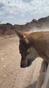 katia_z.k Altpins Profile Picture