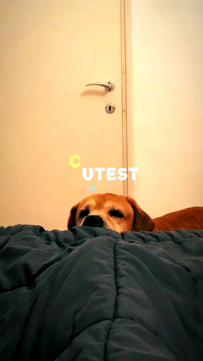 lissi77 lissi77 archive video