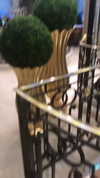 nikoleta.milenova Altpins Profile Picture