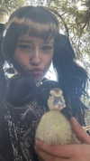 feelbetterinmysweater Altpins Profile Picture