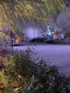 indra0102_ Altpins Profile Picture