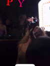 curlyfriesjazz Altpins Profile Picture