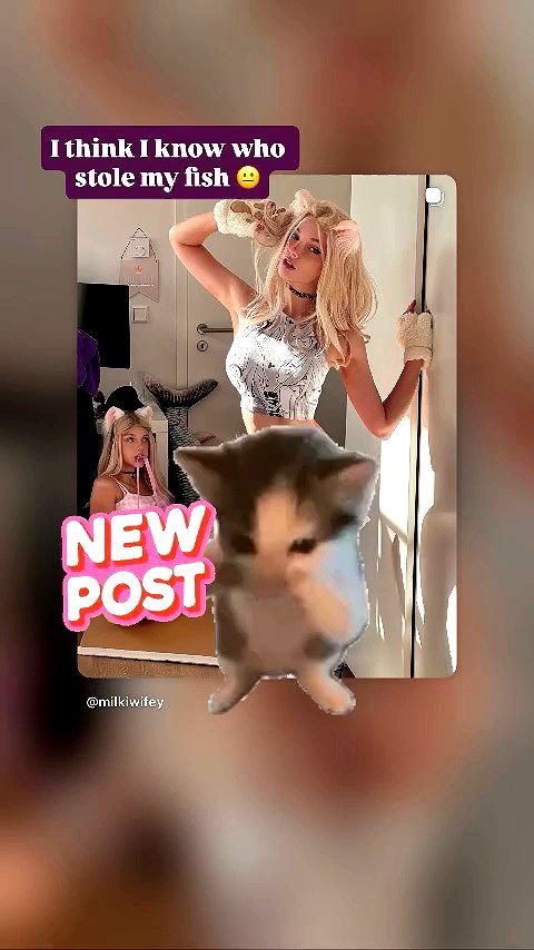milkiwifey archive video preview