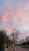 mishel_d_ Altpins Profile Picture